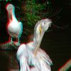 ZOO 3D
