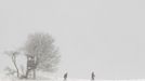 People walk through a snowy landscape near the village of Dorndorf-Steudnitz in the south-eastern German state of Thuringia, October 27, 2012. REUTERS/Thomas Peter (GERMANY - Tags: ENVIRONMENT TPX IMAGES OF THE DAY) Published: Říj. 27, 2012, 1:27 odp.