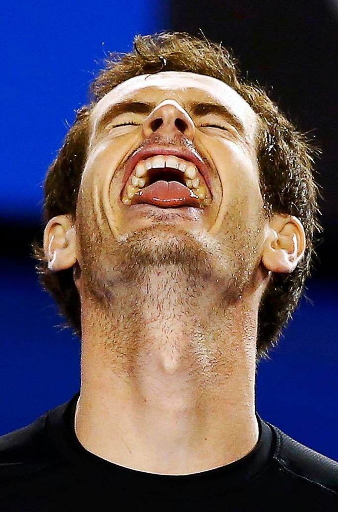 Australian Open 2015: Andy Murray při semifinále s Tomášem Berdychem