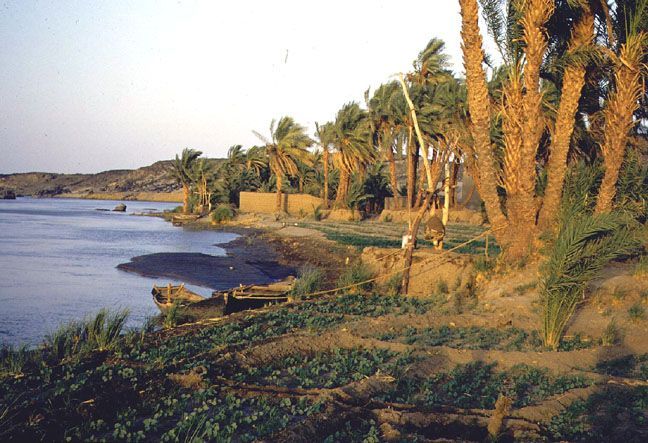 V Súdánu i Egyptě je na Nilu závislá většina populace