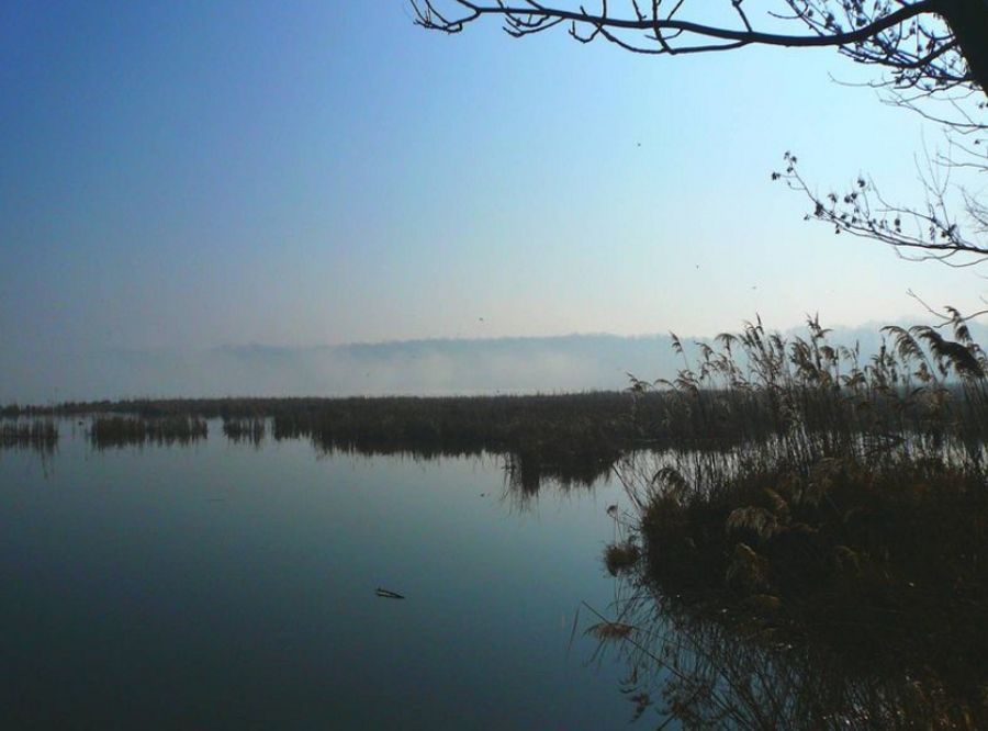 Krajina Poodří