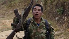 Bojovník FARC, Revolučních ozbrojených sil Kolumbie