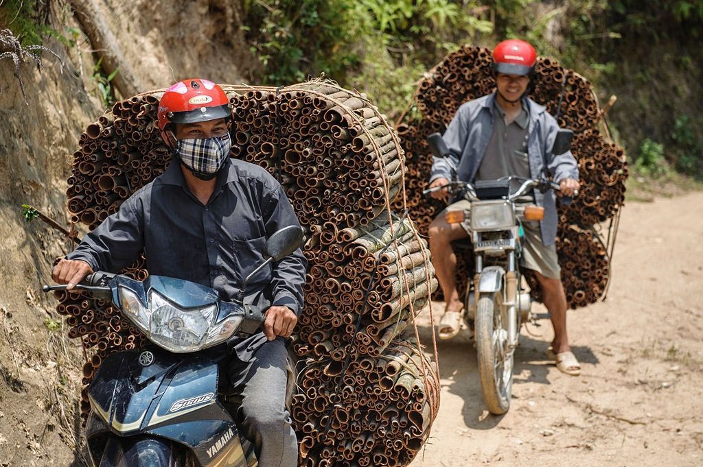 Ne pro články! Fotogalerie: Přetížení navzdory. Tak se v dopravě riskuje s nadměrnýn nákladem. / Vietnam