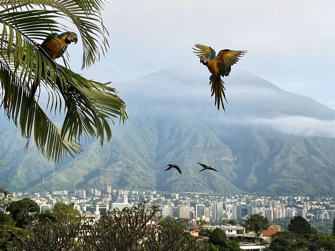 Sony World Photography Awards 2022 - nejlepší krajiny a cestovatelské fotky - Open