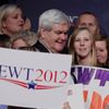 Republikánské primárky odstartovaly v Iowě - Newt Gingrich