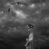 Foto: Nejkrásnější fotografie ze kanadské soutěže National Pictures of the Year