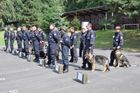 policejní výcvik psů
