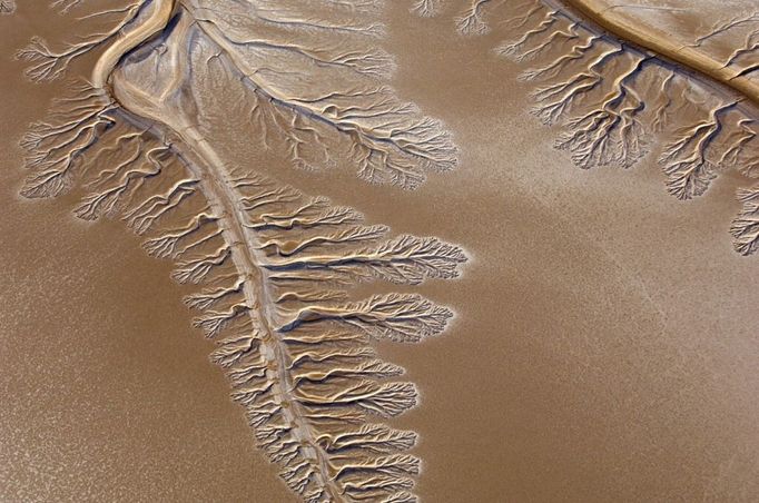 Beautiful tendrils fill the now dry Colorado River delta, Mexiko