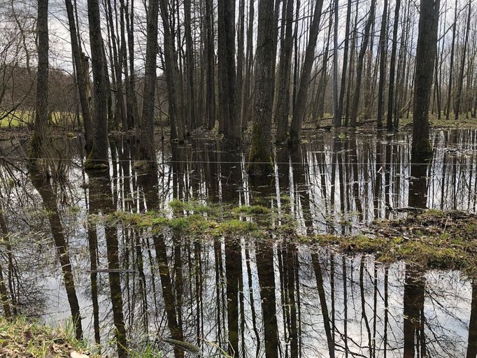 Močály v jižní Litvě a suvalském koridoru by ruským tankům měly ztížit cestu.