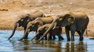 Jaroslav Hora, vítěz soutěže Travel Photographer of the Year: Namibie