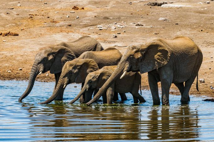 Jaroslav Hora, vítěz soutěže Travel Photographer of the Year: Namibie