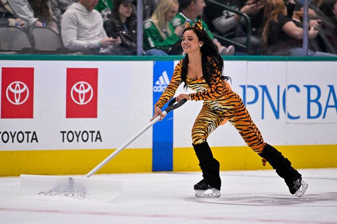 NHL, Ice Girls (Dallas Stars)