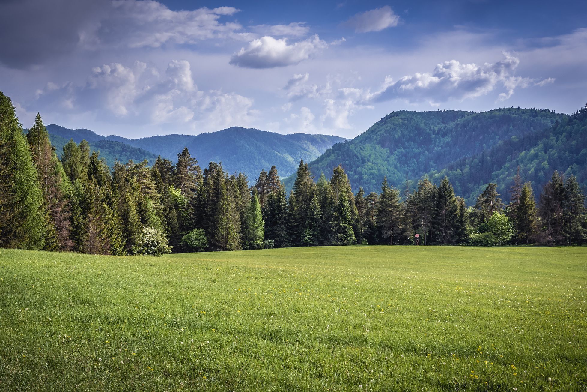 Národní park Slovenský kras