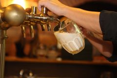 Ležáky roku se v soutěži České pivo staly Krušovice, Zubr a Litovel