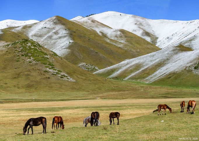 Miroslav Havelka: Kazachstán a Kyrgyzstán na fotografiích