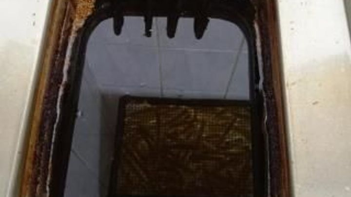 Restaurace fritují na olejích nevhodných k lidské spotřebě. Problém má každá pátá