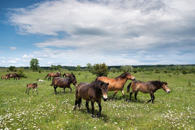 Průřez tvorbou fotografa Týdeníku Respekt Matěje Stránského za rok 2020.