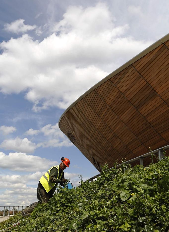 A gardener weeds outside the Velodrome in the London 2012 Olympic Park at Stratford in London July 12, 2012. Preparations for the London Olympics have put Britain's intelligence agencies under significant pressure, as the country stages its largest ever peacetime security operation, MPs said on Thursday. REUTERS/Luke MacGregor (BRITAIN - Tags: SPORT OLYMPICS) Published: Čec. 12, 2012, 5:53 odp.