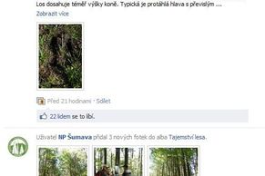 Šumavský park nařídil podřízeným šířit na Facebooku pozitivní zprávy o Šumavě
