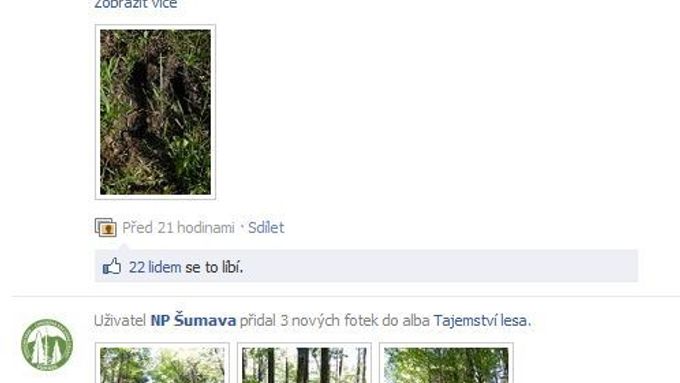 Šumavský park nařídil podřízeným šířit na Facebooku pozitivní zprávy o Šumavě