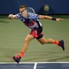 US Open 2015: Tomáš Berdych