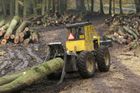 Těžba dřeva v Česku byla loni třetí nejvyšší, lesů přesto přibývá