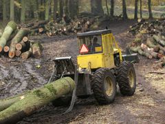 Intenzivní lesní hospodaření v praxi