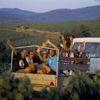 Beaujolais - nepoužívat, jednorázové svolení vlastníka