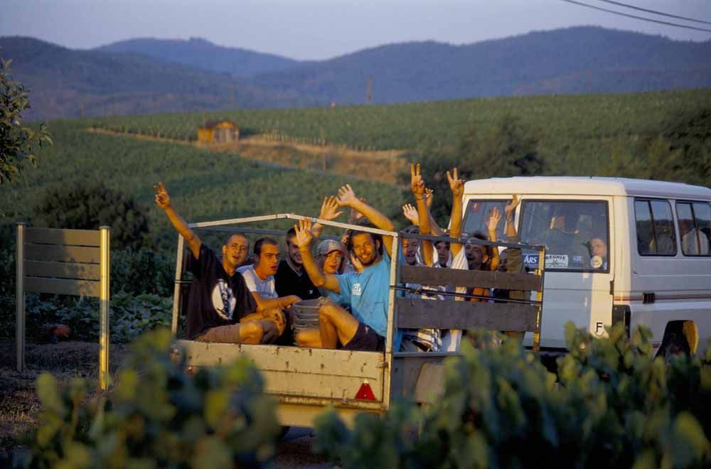 Beaujolais - nepoužívat, jednorázové svolení vlastníka