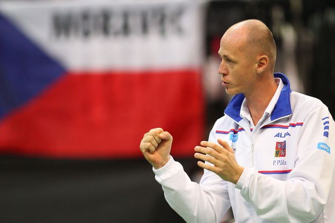 Fed Cup, finále 2014: Petr Pála