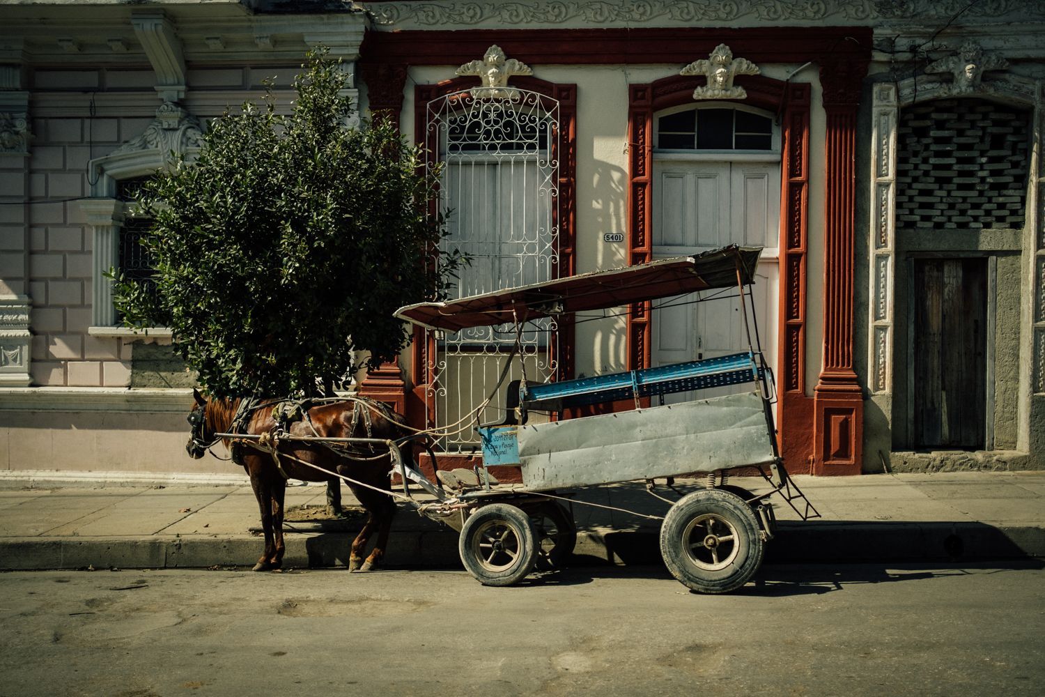 Romana Marie Jokelová: Kuba