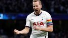 Soccer Football - Premier League - Tottenham Hotspur v Burnley - Tottenham Hotspur Stadium, London, Britain - December 7, 2019  Tottenham Hotspur's Harry Kane celebrates