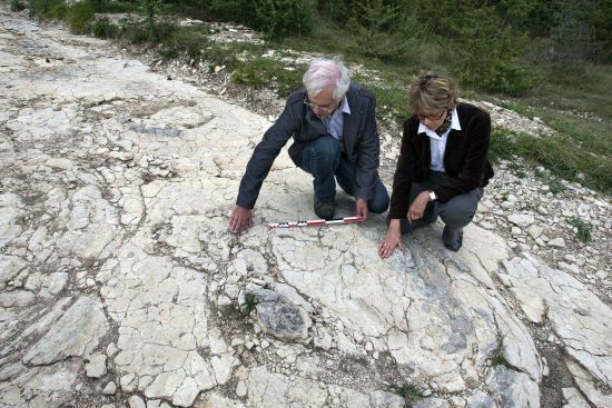 Dinosauří stopy nalezené ve Francii