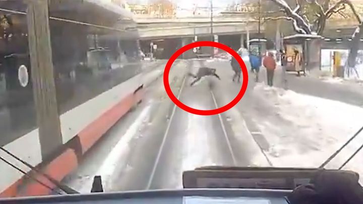 Děsivý moment v Praze. Člověk zakopl o sníh před rozjetou tramvají