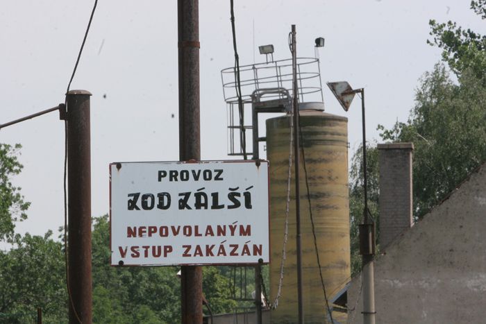 Ptačí chřipka v Tisové