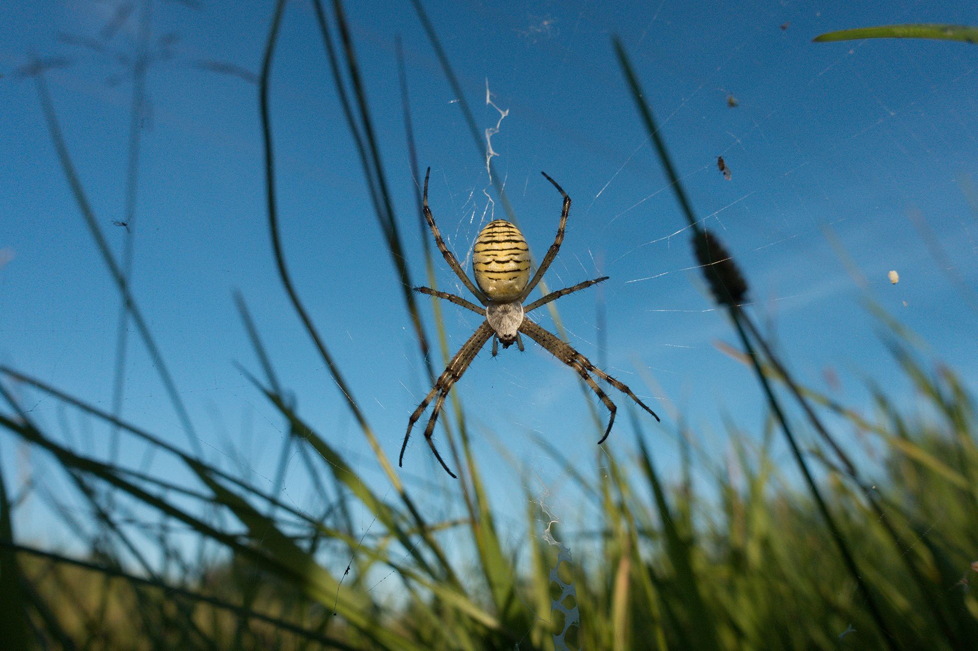 Nominace na Czech Nature Photo 2021