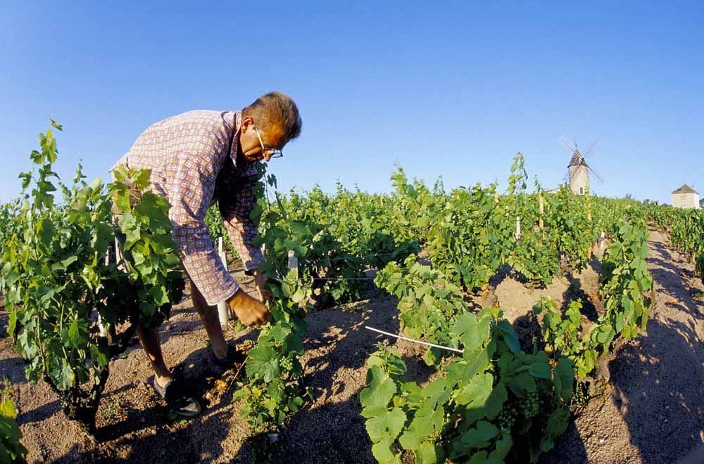Beaujolais - nepoužívat, jednorázové svolení vlastníka