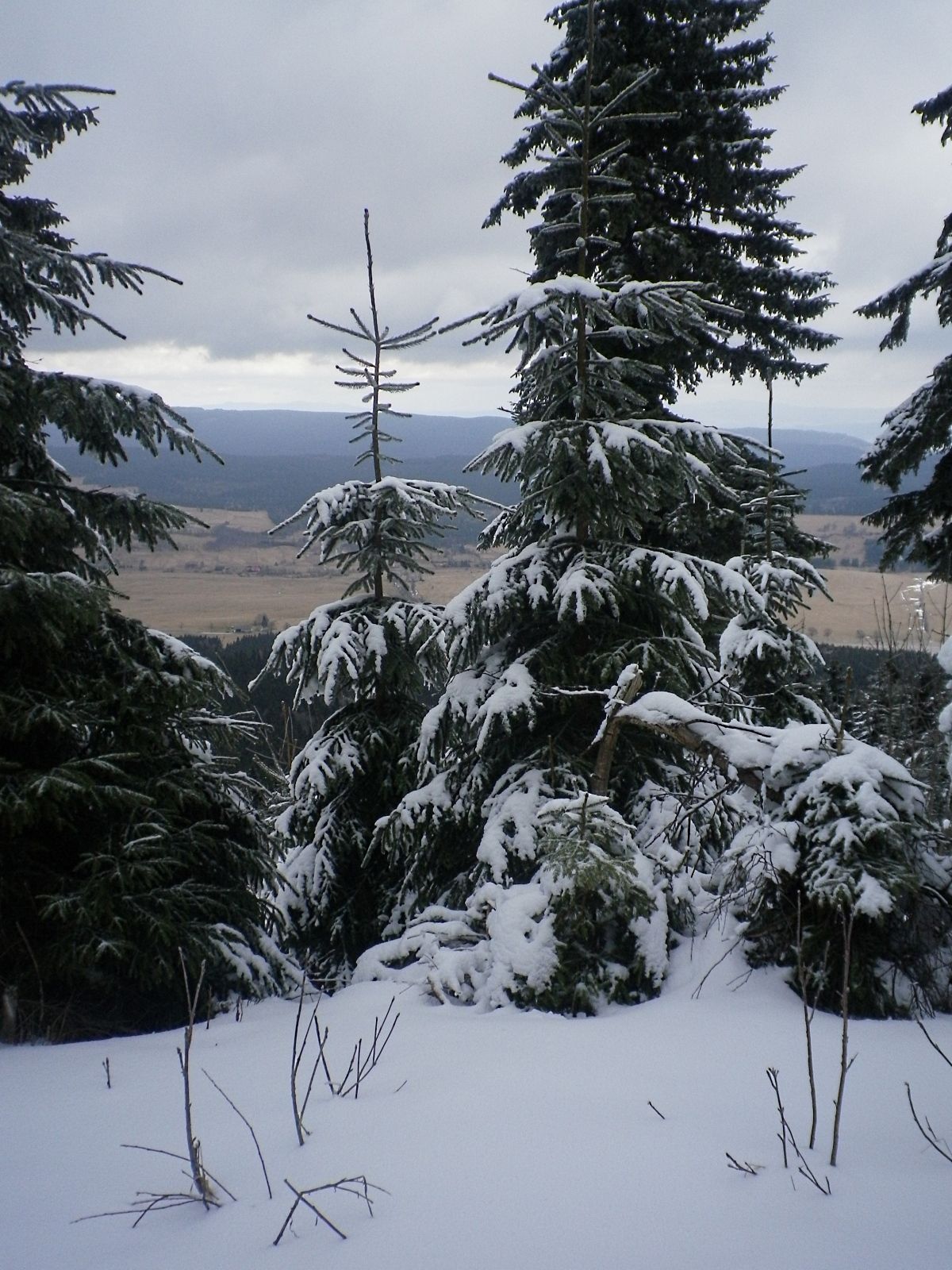 Kde hledat přírodní sníh? Začněte v 900 m.n.m.