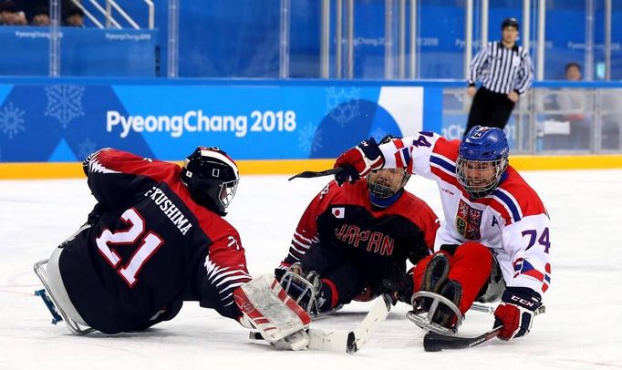 Michal Geier během zápasu s Japonskem na paralympiádě v Pchjongčchangu.