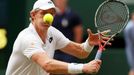 Wimbledon 2018 (Kevin Anderson)