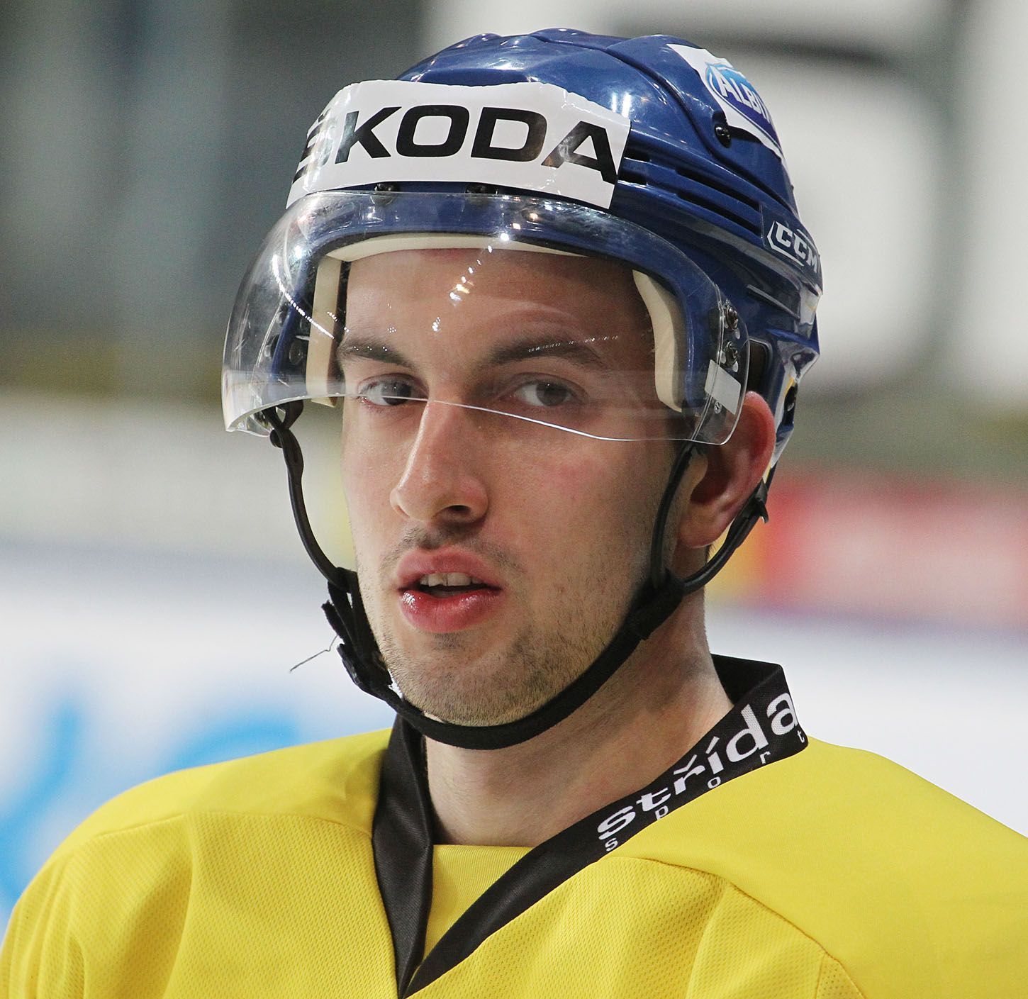 Trénink české hokejové reprezentace (Ondřej Roman)