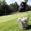 Golfové hřiště v Klánovickém lese