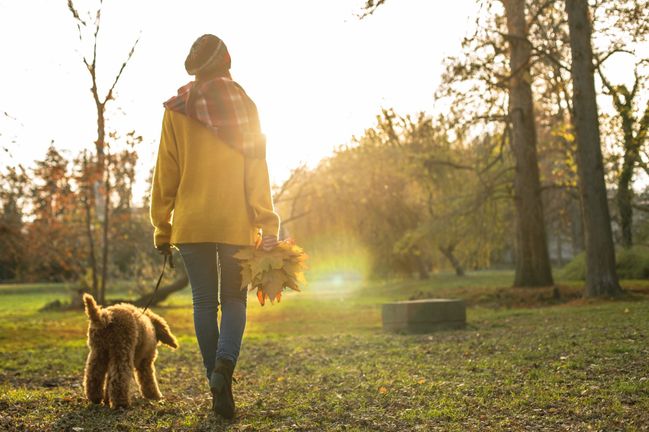 Procházky dodržujte