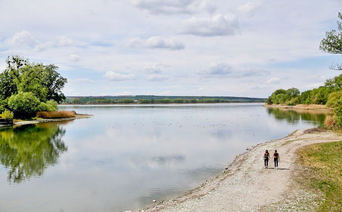 Rybník Nesyt. Národní přírodní rezervace Lednické rybníky na Břeclavsku. Jižní Morava. 30. 4. 2020