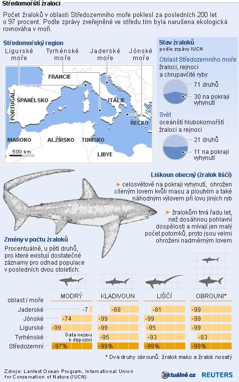 Středomořští žraloci