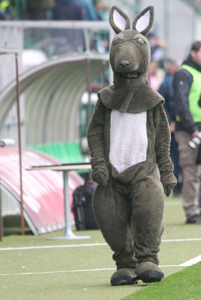 Utkání Gambrinus ligy Bohemians vs. Liberec