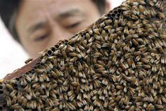 Biomed z Plusu obsahuje včelí mor, byl stažen z prodeje