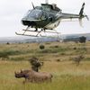Fotogalerie / Jak se přesouvá nosorožec v Keňi / Reuters / 1