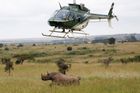 Nosorožec je jedním z nejohroženějších živočichů na planetě. K jejich záchraně před vyhynutím proto ochránci přírody používají nejmodernější techniku. Při cvičení v národním parku Nairobi v africké Keni, kde trénovali přesun samice nosorožce černého, používali i vrtulník.