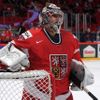 Hokej, MS 2013: Česko - Norsko: Ondřej Pavelec